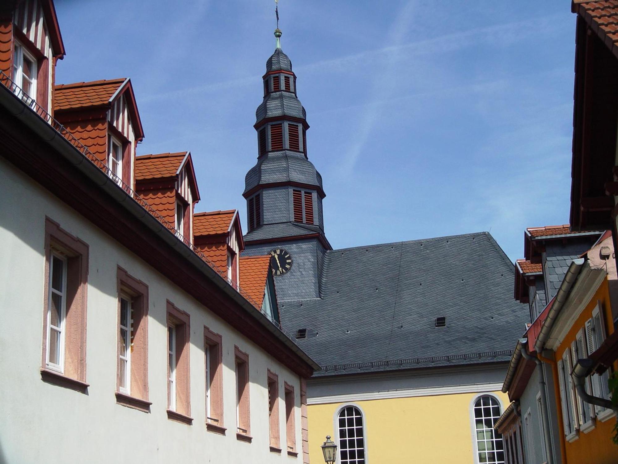 2 Zimmer Wohnung, Kueche, Bad, Balkon, Netflix Alzey Bagian luar foto