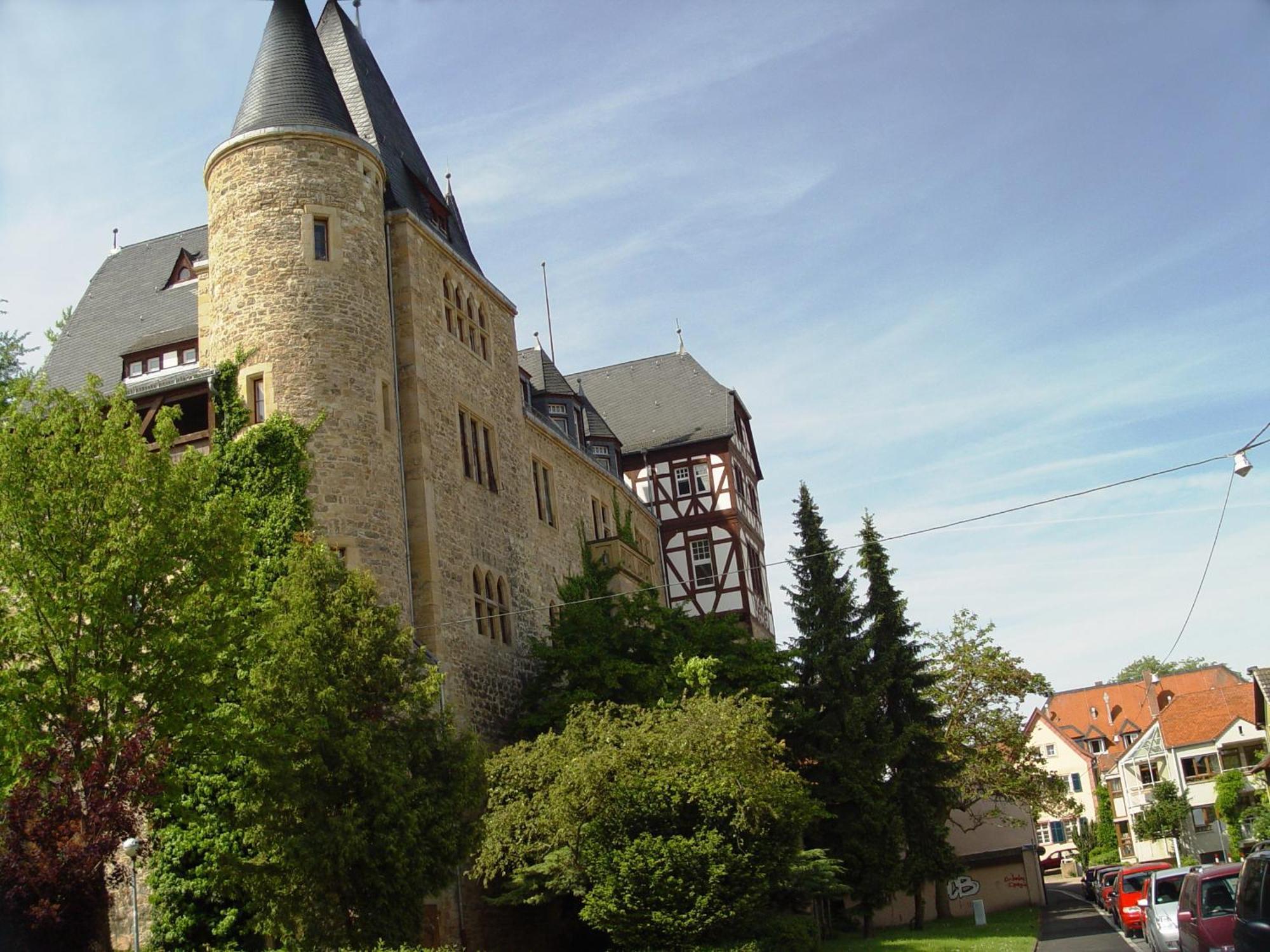 2 Zimmer Wohnung, Kueche, Bad, Balkon, Netflix Alzey Bagian luar foto